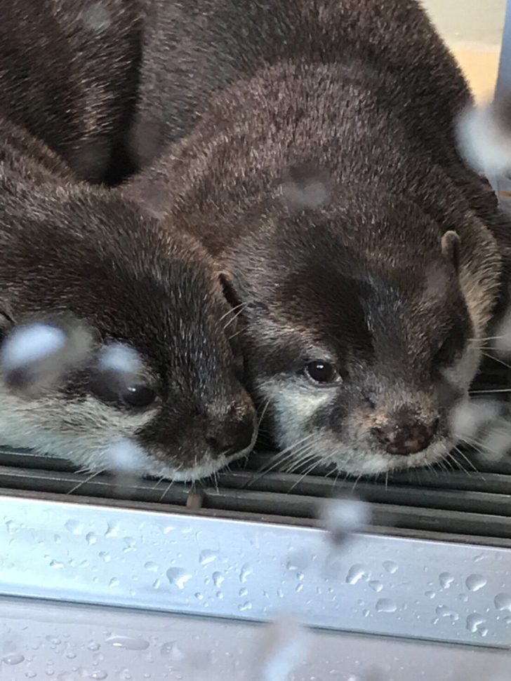 はじめまして うみです ニコバー広島 スタッフブログ